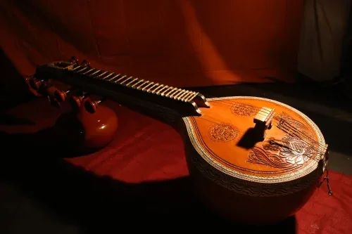 Joint Veena Plain