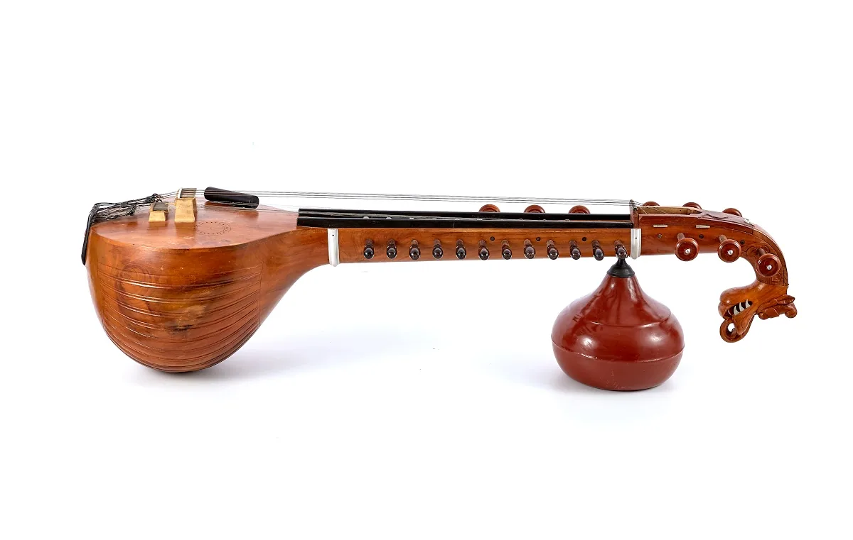 Elegant Brown Veena