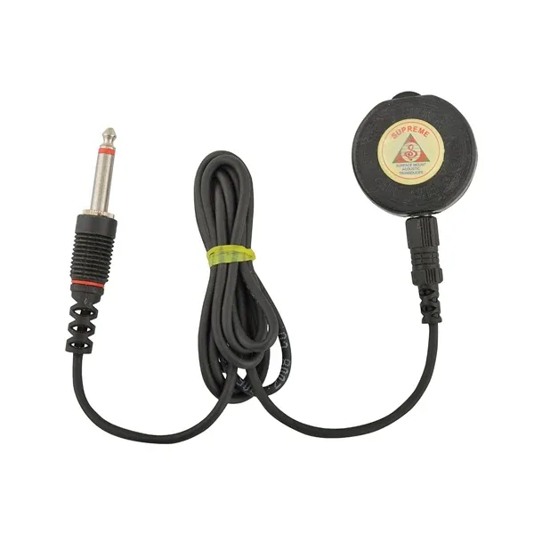 Veena Pickup Mic